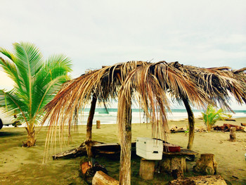 Damas Island Surf Lessons photo 5