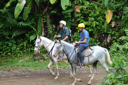 Horseback Riding Manuel Antonio photo 3