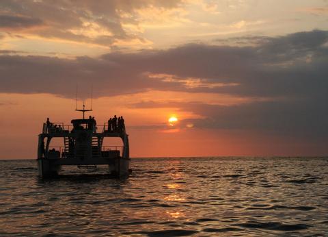 Catamaran Cruise and Snorkeling