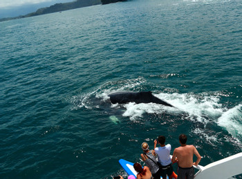 Catamaran Cruise and Snorkeling photo 4