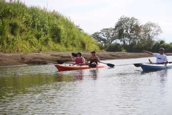 Mangrove Kayaking