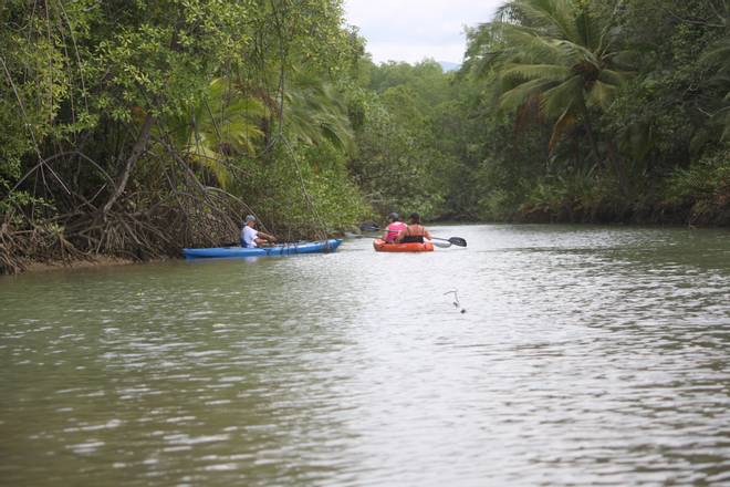 Mangrove Kayaking, Costa Rica