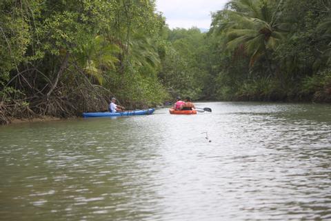 Kayaking en Manglares