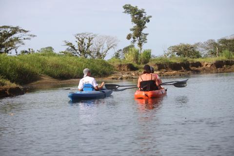 Mangrove Kayaking Costa Rica