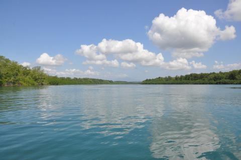 Damas Estuary Boat Trip Costa Rica