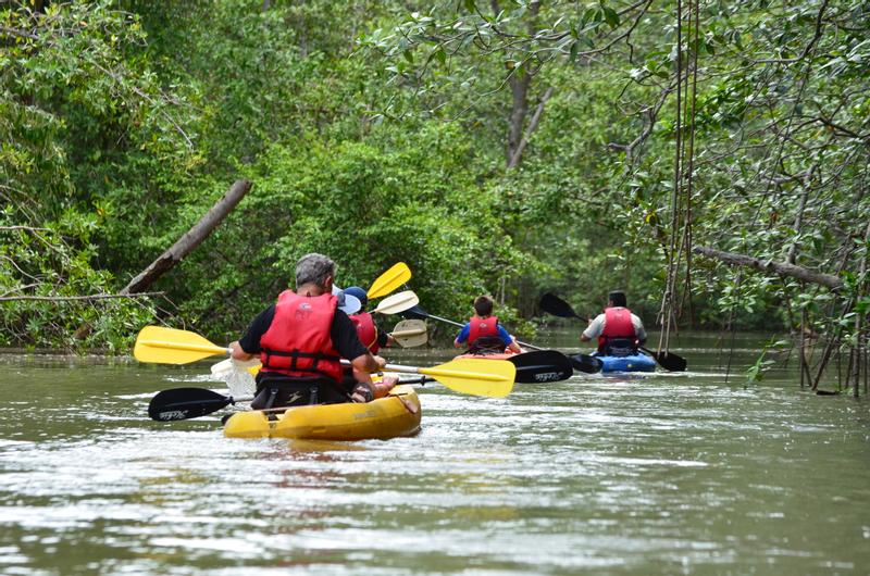 Manuel Antonio Mangrove Kayak Tour Damas Island Estuary