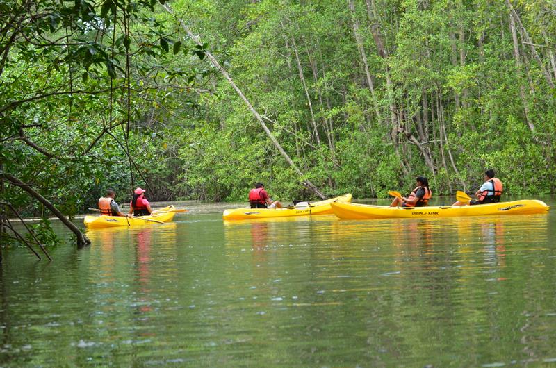Manuel Antonio Mangrove Kayak Tour Damas Island Estuary