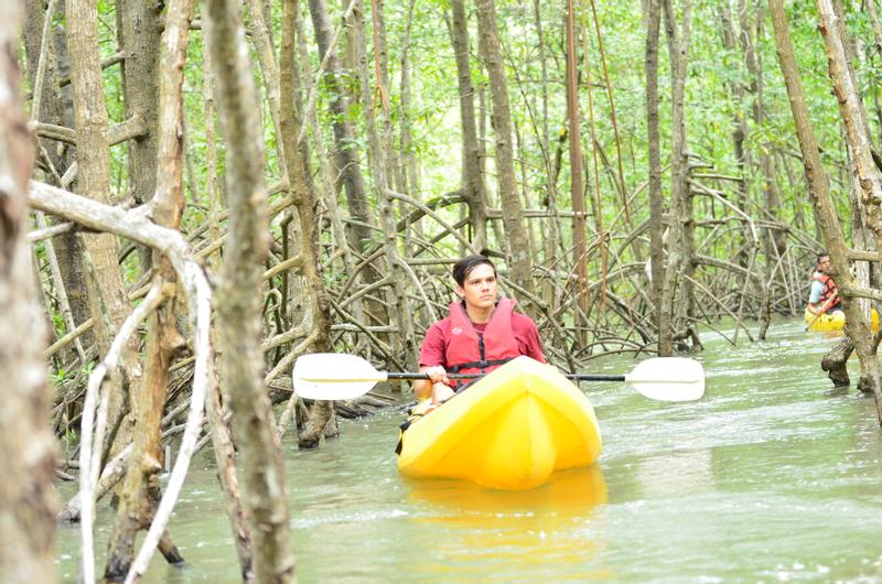Manuel Antonio Mangrove Kayak Tour Damas Island Estuary