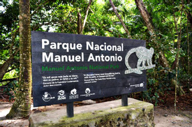 Manuel Antonio National Park Guided Tour