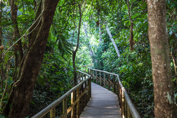 Manuel Antonio National Park Guided Tour photo 3