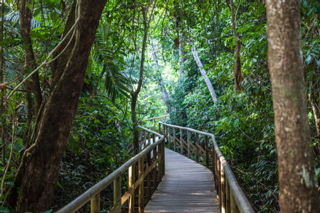 Manuel Antonio National Park Guided Tour photo 3