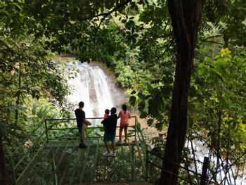 Mulguri Waterfall Adventure