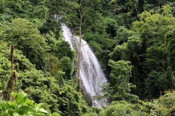 Mulguri Waterfall Adventure