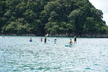 Tour de un día cataratas y paddleboard  photo 5