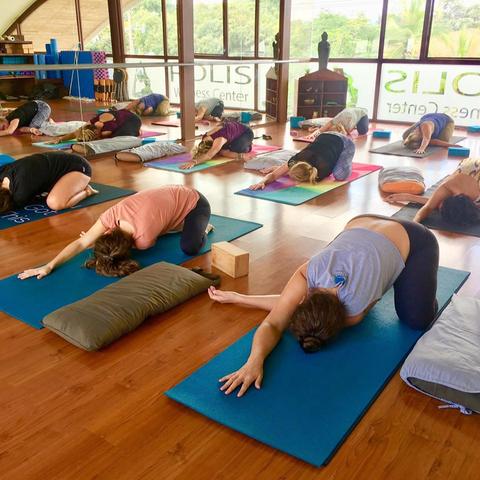 Holis Wellness Center Private Yoga Classes Costa Rica