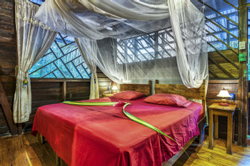 Big Dream House photo 5