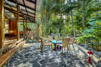Big Dream House photo 2