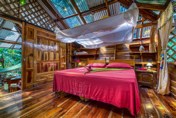 Dream Nature House photo 5