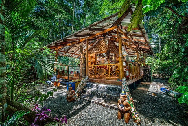 Dream Palm House photo