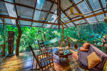 Dream Palm House photo 3