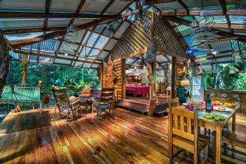 Dream Palm House photo 2