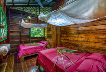 Long Dream House photo 5