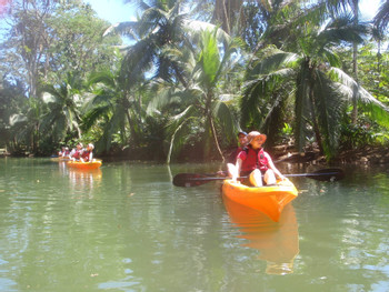 Punta Uva Sea & River Kayak with Hike photo 4