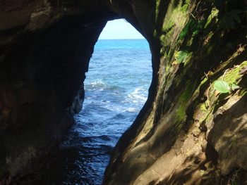 Punta Uva Sea & River Kayak with Hike photo 5