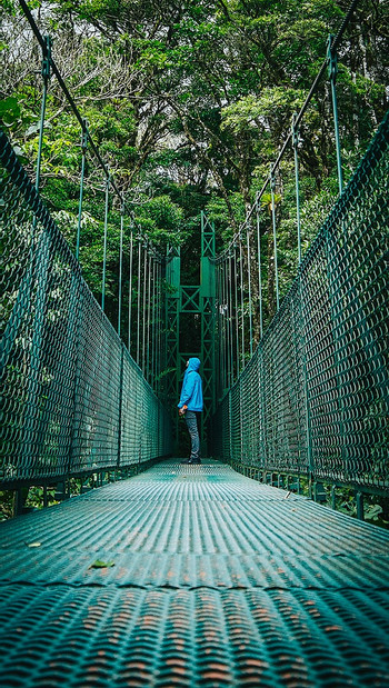 Canopy Tour with Superman, Suspension Bridges Self-guided, Sloth Sanctuary (Platinum Pack) photo 3