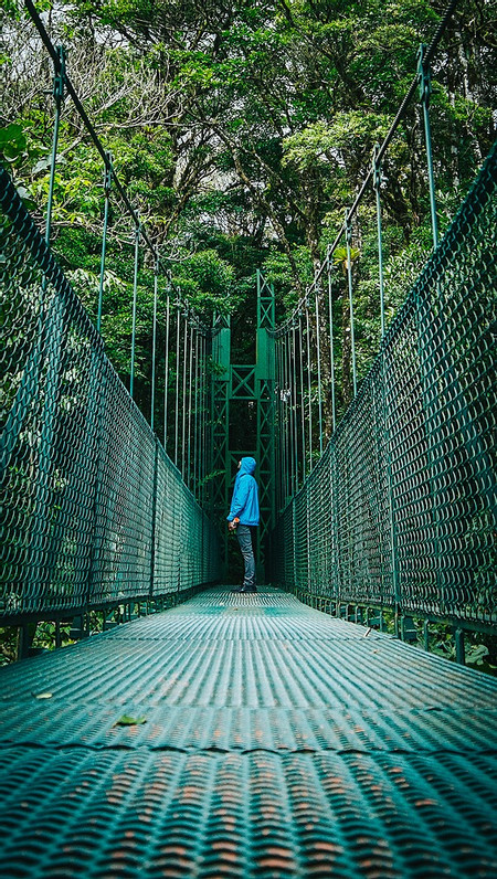 Canopy Tour with Superman, Suspension Bridges Self-guided, Sloth Sanctuary (Platinum Pack) photo 3