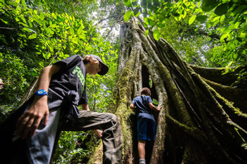 Curicancha Reserve Guided Tour