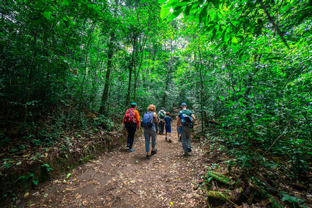 Curicancha Reserve Guided Tour