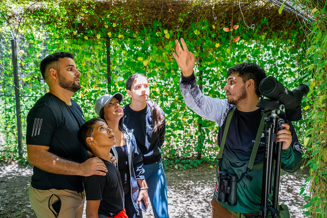 Curicancha Reserve Guided Tour
