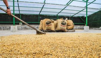 Don Juan Coffee, Chocolate and Sugar Cane Monteverde - Private Tour photo 4