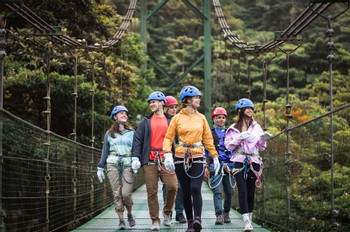 Full Package (Sky Tram, Sky Trek, Sky Walk Guide Hike and Arboreal with lunch) photo 5