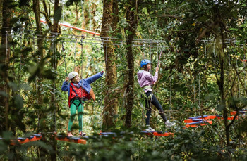 Full Package (Sky Tram, Sky Trek, Sky Walk Guide Hike and Arboreal) photo 4