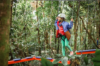 Full Package (Sky Tram, Sky Trek, Sky Walk Guide Hike and Arboreal) photo 5