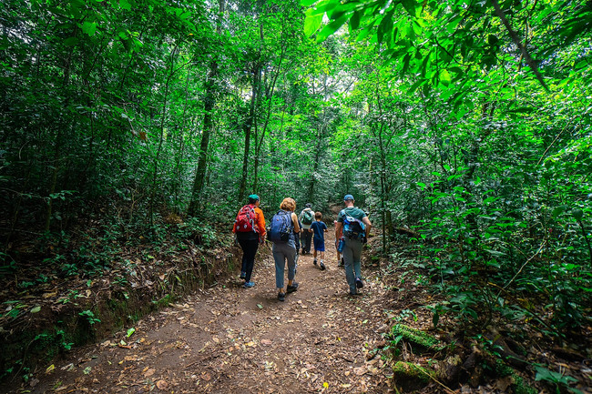 Monteverde Cloud Forest Reserve Guided Tour photo