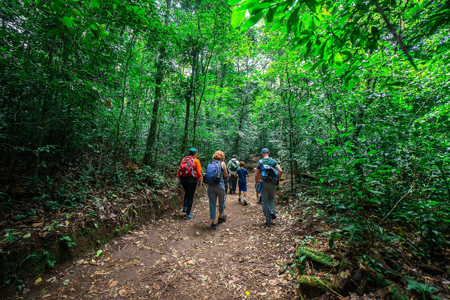 Monteverde Cloud Forest Reserve Guided Tour Photo