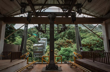 Scenic Package (Sky Tram and Guided Hike at Sky Walk Monteverde) photo 4