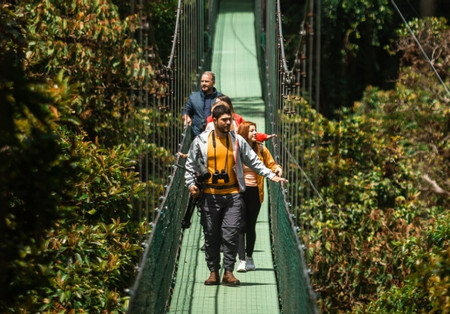 Explorer Package (Sky Tram, Sky Trek, and Sky Walk Guided Hike Monteverde with lunch) photo 2