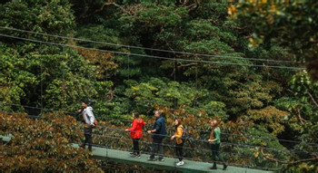 Explorer Package (Sky Tram, Sky Trek, and Sky Walk Guided Hike Monteverde with lunch) photo 3