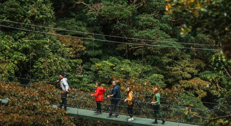 Explorer Package (Sky Tram, Sky Trek, and Sky Walk Guided Hike Monteverde with lunch) photo 3