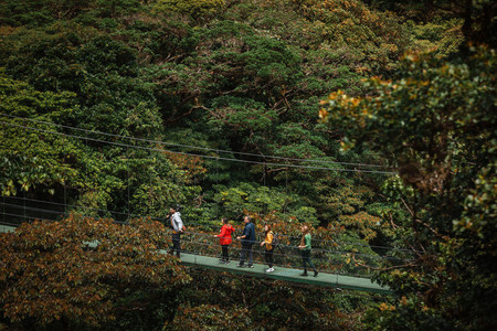 Sky Walk Guided Tour Monteverde photo 3