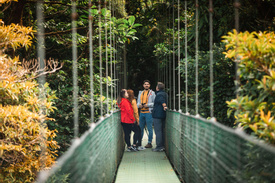 Sky Walk Guided Tour Monteverde