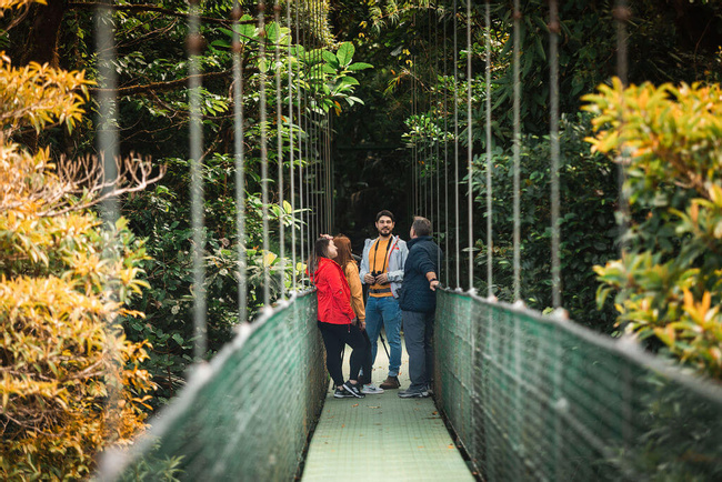 Sky Walk Guided Tour Monteverde Photo