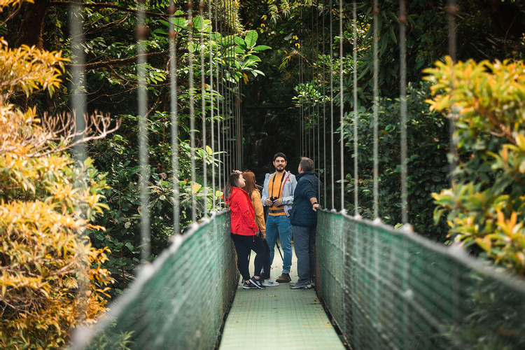 Sky Walk Guided Tour Monteverde photo