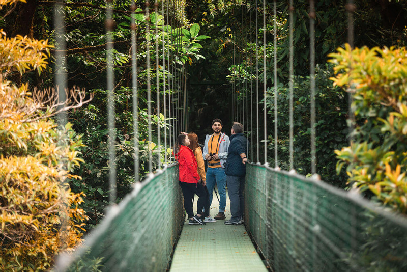 Sky Walk Guided Tour Monteverde photo