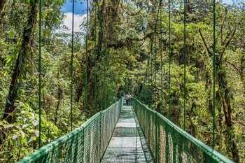Selvatura Park Suspension Bridges and Sloth Sanctuary photo 5
