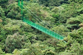 Suspension Bridges Guided Tour photo 4